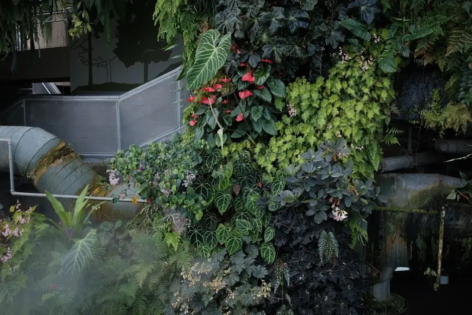 Greens & Outdoors at VATIKA ONE ON ONE PHASE 2, Sector 16, Gurgaon